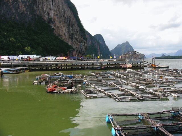 Fish Farms